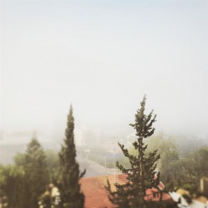 IMG_20150429_072504 (2) (Large)