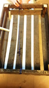 20151211_172811 (Large)